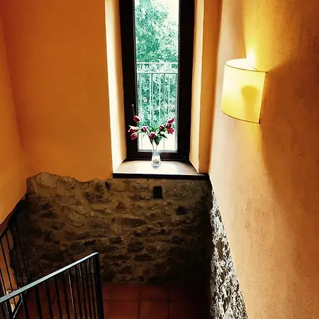 El Bosquero De La Garrotxa Country house *